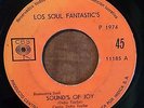 RARE LATIN 45 LOS SOUL FANTASTICS Sounds Of Joy / You Cant Get PANAMA HEAR