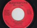 Sweet Soul/Funk Boogie 45 - Ron Gaither - One Last Chance - Masterfunk - mp3