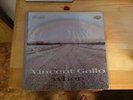 When by Vincent Gallo (Vinyl, Feb-2008, Warp)