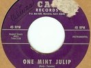 RAY CAMACHO: One Mint Julip/Tough Talk 45 latin mod soul hear