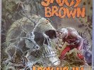 SAVOY BROWN - Looking In - LP Vinyl NEAR MINT 1970 blues rock W-161