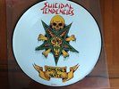 Suicidal Tendencies Possessed to Skate 12