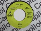 SRC Black Sheep Capitol Promo Michigan Heavy Psych Classic 45 HEAR