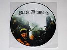 Black Diamond Brigade S/T Promo 10