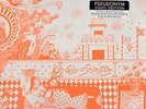 Q 65 - Afghanistan  (Vinyl)