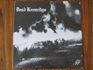 2 X LP: Dead Kennedys: Fresh Fruit For Rotting Vegetables und In God We Trust, I