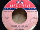 LEE ROGERS   Cracked Up Over You/Fixed For Love 45   Wheelsville northern soul