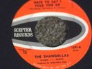 GIRL GROUP THE SHANGRI-LAS 1ST RECORD ON SCEPTER 