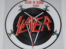 Slayer 'Reign In Blood' Demos Pic LP Picture Disc Vinyl Record NM Jeff Hanneman