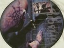 Tool Vinyl Picture Disc - Sober & Prison Sex