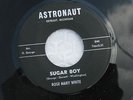 ROSE MARY WHITE SUGAR BOY/KEEPING YOU ALIVE ASTRONAUT,Detroit Soul  (EX) 45