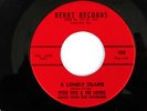 Doo Wop 45, Peter Pete & the Lovers, A Lonely Island, Derby, M-