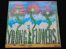 YOUNG FLOWERS Blomsterpistolen & No. 2 RARE 1979 D/LP Danish Psych NM