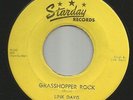 ROCKABILLY --LINK DAVIS-- GRASSHOPPER ROCK / 16 CHICKS -HEAR BOTH -1956 STARDAY