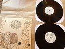 DEVENDRA BANHART - REJOICING IN THE HANDS / NINO ROJO - YG26 - VINYL LP