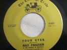Soul/Funk 45 Ray Frazier & Shades Of Madness Your Eyes CARRIAGE TRADE VG+