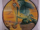 AMANDA LEAR: Never Trust A Pretty Face LP (pic disc, PVC sleeve w/ clear title