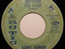 KENNY HAMBER   Anything You Want   ARCTIC northern / deep soul 45 *Listen*