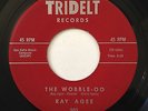 RAY AGEE The Wobble-oo Mod r&b Soul 45 (Tridelt) *HEAR