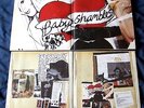 Babyshambles 'Down In Albion' Double Vinyl LP Gatefold  Pete Doherty Libertines