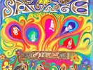 THE SAVAGE RESURRECTION • 1968 PSYCH STEREO LP MERCURY SR 61156   NM