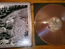 Satanic Warmaster Nachzehrer Rotten Blood