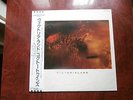LP ALBUM COCTEAU TWINS VICTORIALAND JAPAN OBI
