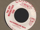 (Hear) 1967 Roy Meriwether Trio Latin / Popcorn 45 Watermelon Man / Feeling Good