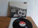 WHITE PLAINS SAME LP IN 1970 MINT ORIGINAL DERAM