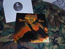 Destroyer 666 - Phoenix Rising - LP (Orig. Press) Deströyer 666, Vomitor,Watain