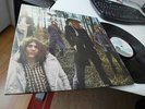 MOTT THE HOOPLE - WILDLIFE - ISLAND UK 1971 MINT ORIGINAL 1ST PRESS