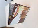 Led Zeppelin II 2 Classic Records Reissue 180 gram