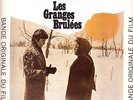 JEAN-MICHEL JARRE. LES GRANGES BRULÉES.Bella musica elettronica.LP. Francia.1973