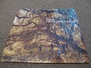 Travis - The Invisible Band Independiente ISOM25LP M- Vinyl LP A1/B1 first Press