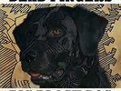Dead Fingers - Big Black Dog [New Vinyl LP] Digital Download
