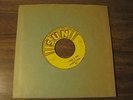 Barbara Pitman - I Need A Man / No Matter Who's To Blame 45 SUN 253 U-204 U-345