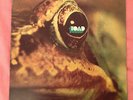 TOAD same original first HALLELUJAH records SWISS Hard psych prog ex+ vg+(+)