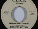 Sweet Soul 45 FANTASTIC NU-TYMES Darling (Don't Leave Me)/Birdie on Click