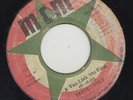 '77 MCM REGGAE 45 ERROL HOLT A YOU LICK ME FIRST  ?