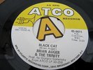 BRIAN AUGER TRINITY 