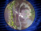 Metallica Picture Disc 