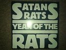 very rare punk vinyl 7 inch single satans rats year of the rats