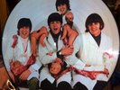NEW -  BEATLES YESTERDAY AND TODAY - STEREO BUTCHER COVER PICTURE DISC LP VINYL