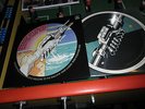 HYPER RARE 33T PICTURE DISC PINK FLOYD  LE ROBOT