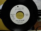 SEE & HEAR  SOUL POPCORN  45  MARVA JOSIE  LAter for You Baby E+ to ++