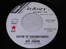 Roy Junior: Victim Of Circumstances / Looks Like The Sun Ain't Gonna 45 - Garage