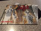 DEATH Human LP ORG First Press CONTROL DENIED ATHEIST SADUS CORONER CYNIC
