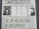 Blitzkrieg Bop Gynaecologists The Red Pullover Un-played Private Post Punk