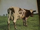 PINK FLOYD, ATOM HEART MOTHER, RARE 1ST PRESS VINYL ALBUM, NO EMI, GATEFOLD, VG