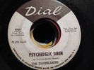 THE DAYBREAKERS GARAGE PSYCH 45 ON WLP DIAL 4066 HEAR IT PSYCHEDELIC SIREN